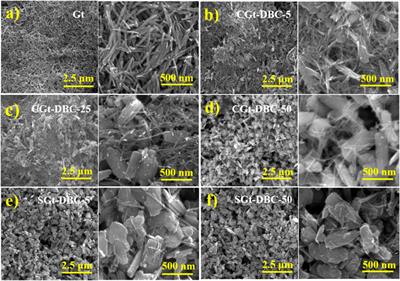 Effects of dissolved black carbon bound with goethite on physicochemical properties and adsorption capacity for imidacloprid: Adsorption versus coprecipitation